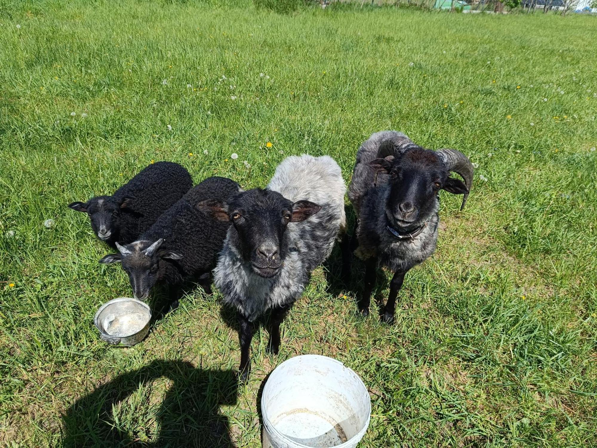 Gospodarstwo Agroturystyczne Na Mazurach Jerutki Habitación foto